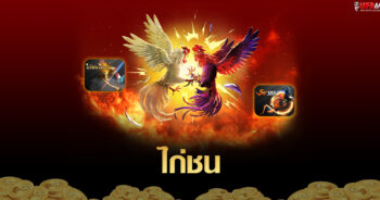 ไก่ชน ใต้